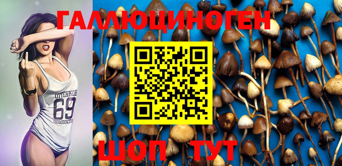 Псилоцибиновые грибы MAGIC MUSHROOMS  Вход с VPN  Минеральные Воды 
